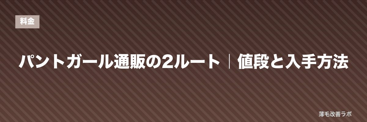パントガール通販の2ルート｜値段と入手方法 | 薄毛改善ラボ