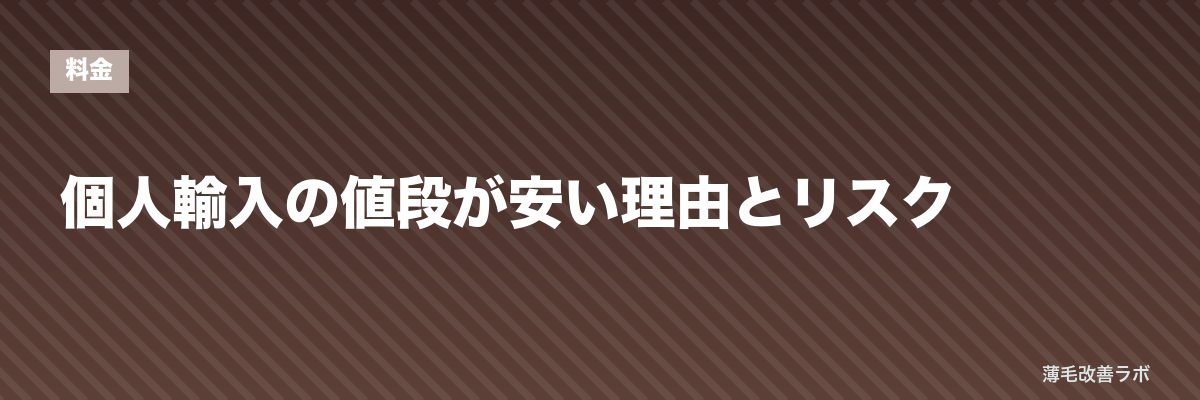 個人輸入の値段が安い理由とリスク | 薄毛改善ラボ