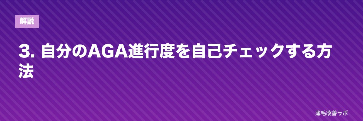 3. 自分のAGA進行度を自己チェックする方法 | 薄毛改善ラボ