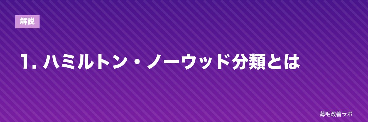 1. ハミルトン・ノーウッド分類とは | 薄毛改善ラボ