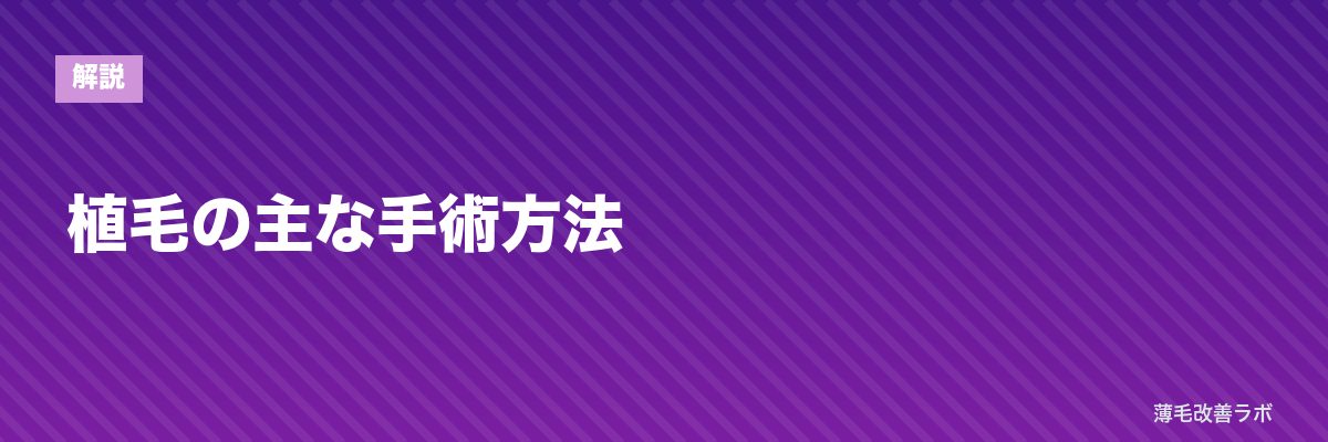 植毛の主な手術方法 | 薄毛改善ラボ