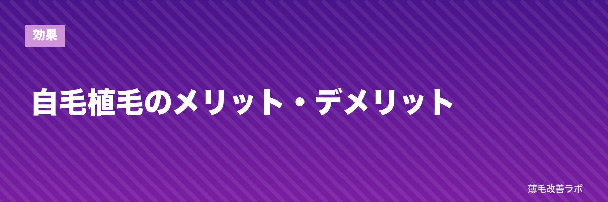 自毛植毛のメリット・デメリット | 薄毛改善ラボ
