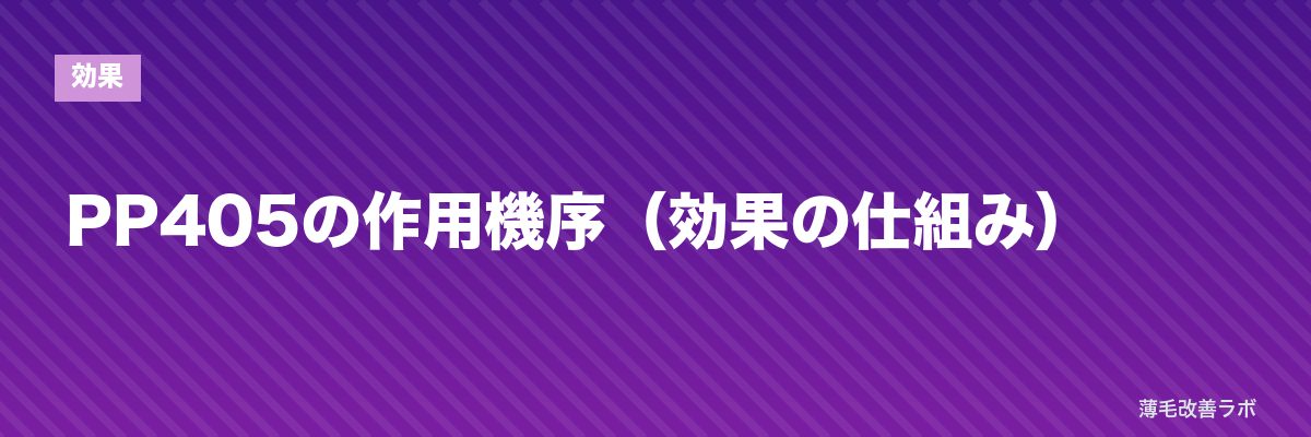 PP405の作用機序（効果の仕組み） | 薄毛改善ラボ