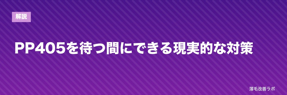 PP405を待つ間にできる現実的な対策 | 薄毛改善ラボ