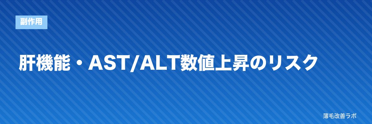 肝機能・AST/ALT数値上昇のリスク | 薄毛改善ラボ