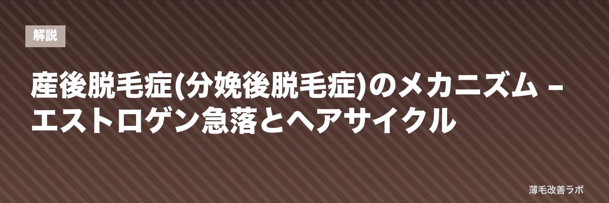 産後脱毛症(分娩後脱毛症)のメカニズム – エストロゲン急落とヘアサイクル | 薄毛改善ラボ