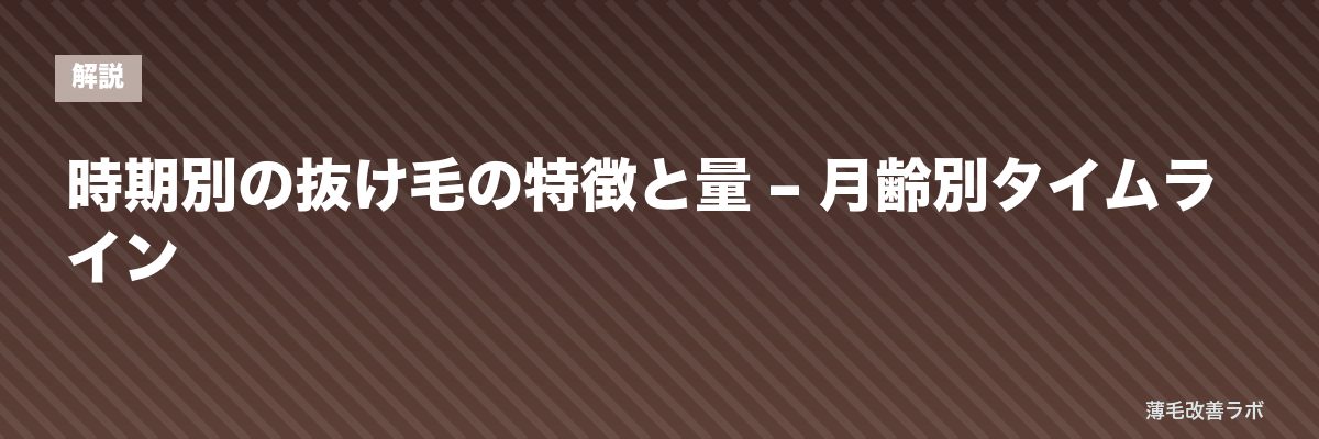 時期別の抜け毛の特徴と量 – 月齢別タイムライン | 薄毛改善ラボ