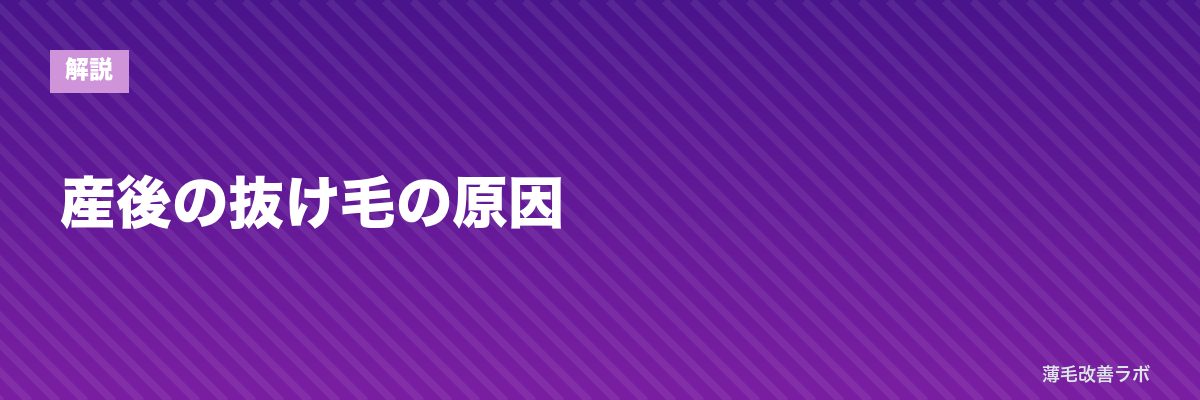 産後の抜け毛の原因 | 薄毛改善ラボ