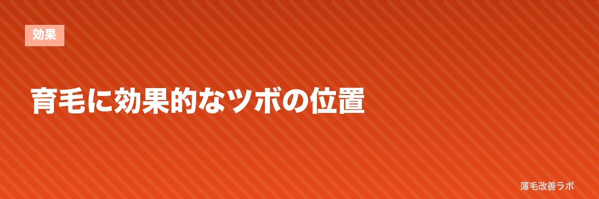育毛に効果的なツボの位置 | 薄毛改善ラボ