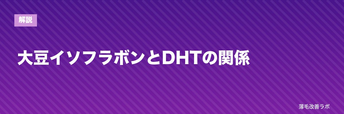 大豆イソフラボンとDHTの関係 | 薄毛改善ラボ