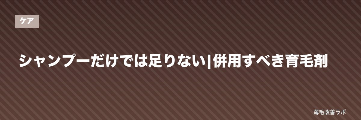 シャンプーだけでは足りない|併用すべき育毛剤 | 薄毛改善ラボ