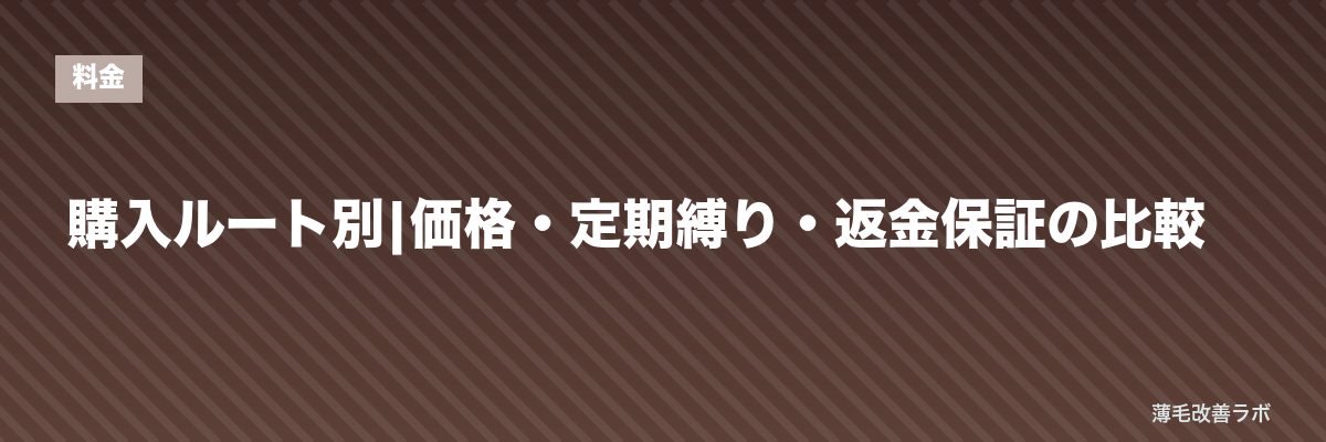 購入ルート別|価格・定期縛り・返金保証の比較 | 薄毛改善ラボ