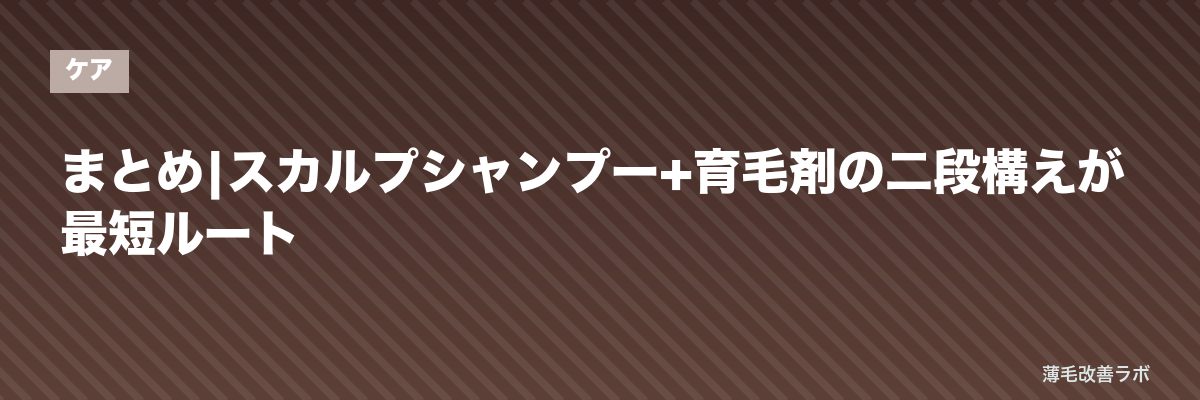 まとめ|スカルプシャンプー+育毛剤の二段構えが最短ルート | 薄毛改善ラボ