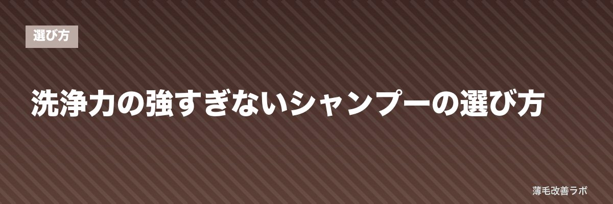 洗浄力の強すぎないシャンプーの選び方 | 薄毛改善ラボ
