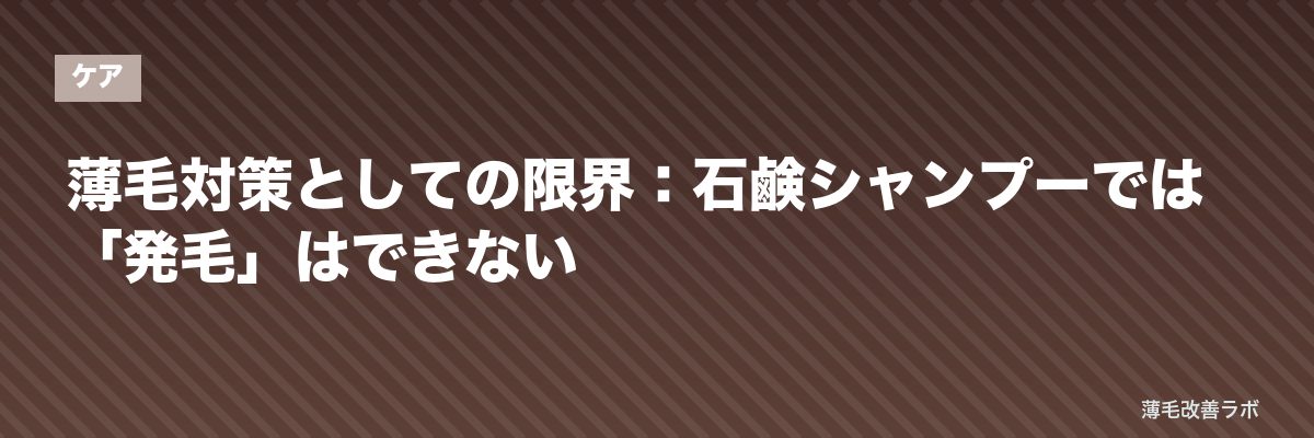 薄毛対策としての限界：石鹸シャンプーでは「発毛」はできない | 薄毛改善ラボ