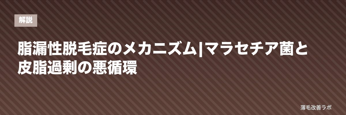 脂漏性脱毛症のメカニズム|マラセチア菌と皮脂過剰の悪循環 | 薄毛改善ラボ