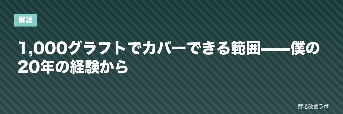 1,000グラフトでカバーできる範囲——僕の20年の経験から | 薄毛改善ラボ