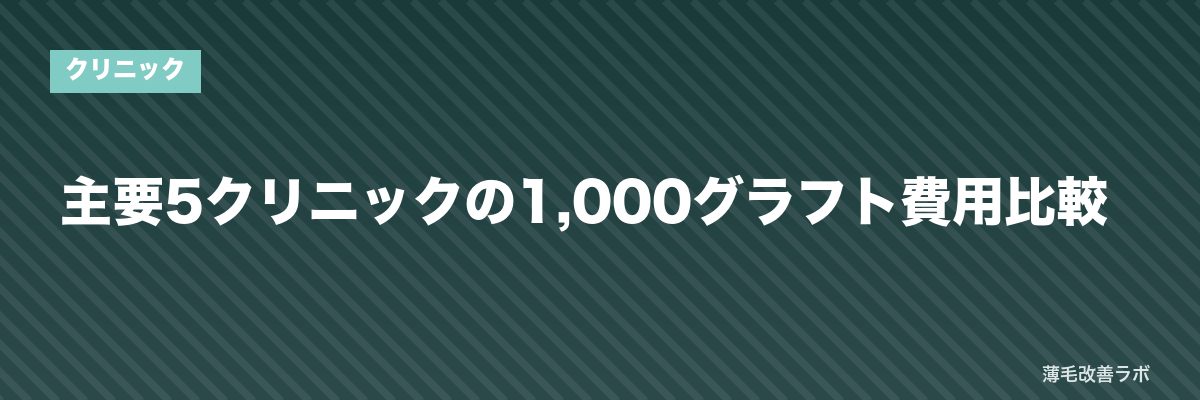 主要5クリニックの1,000グラフト費用比較 | 薄毛改善ラボ