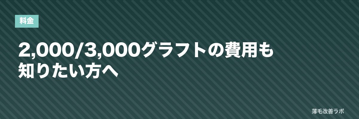 2,000/3,000グラフトの費用も知りたい方へ | 薄毛改善ラボ
