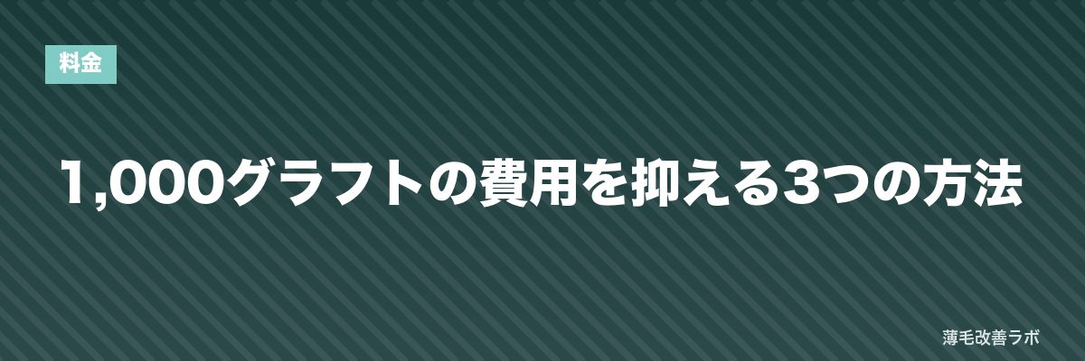 1,000グラフトの費用を抑える3つの方法 | 薄毛改善ラボ