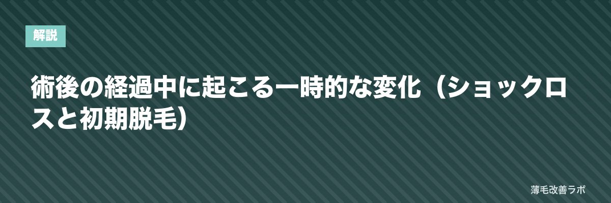 術後の経過中に起こる一時的な変化（ショックロスと初期脱毛） | 薄毛改善ラボ
