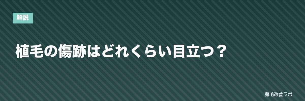 植毛の傷跡はどれくらい目立つ? | 薄毛改善ラボ