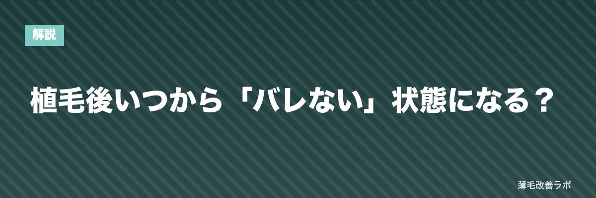 植毛後いつから「バレない」状態になる? | 薄毛改善ラボ