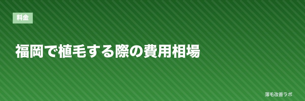 福岡で植毛する際の費用相場 | 薄毛改善ラボ