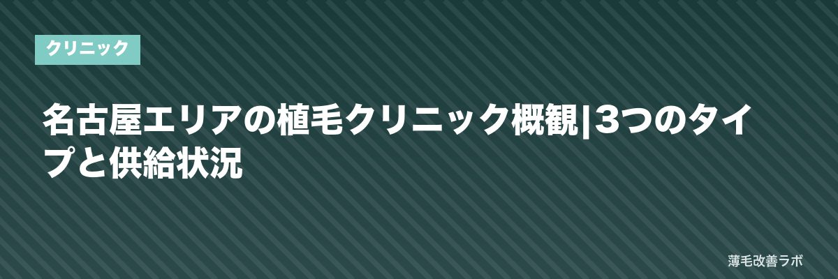 名古屋エリアの植毛クリニック概観|3つのタイプと供給状況 | 薄毛改善ラボ