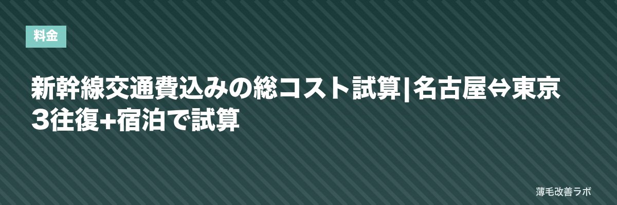 新幹線交通費込みの総コスト試算|名古屋⇔東京3往復+宿泊で試算 | 薄毛改善ラボ