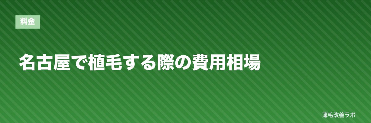 名古屋で植毛する際の費用相場 | 薄毛改善ラボ