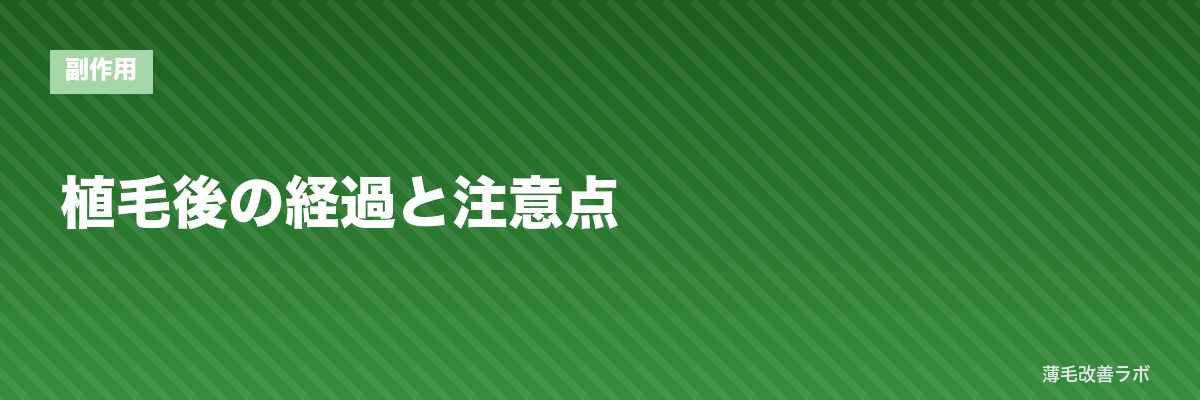 植毛後の経過と注意点 | 薄毛改善ラボ