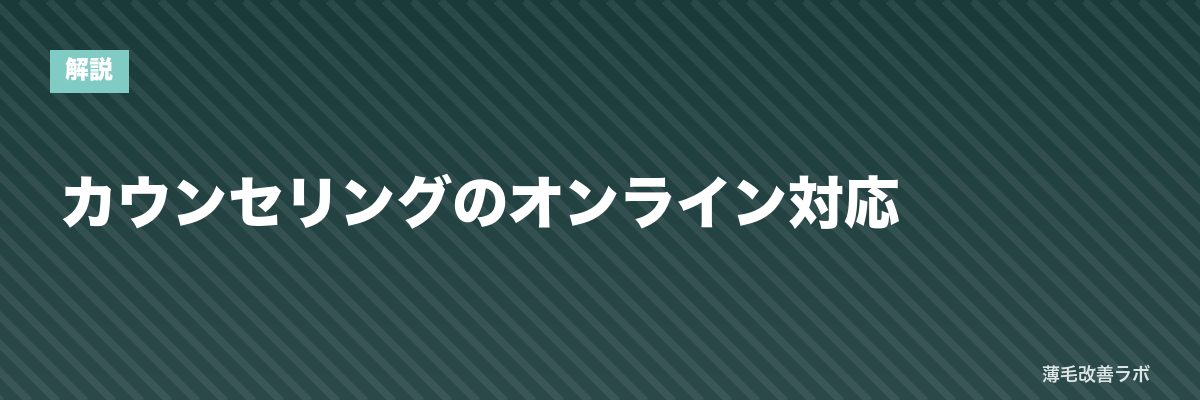 カウンセリングのオンライン対応 | 薄毛改善ラボ