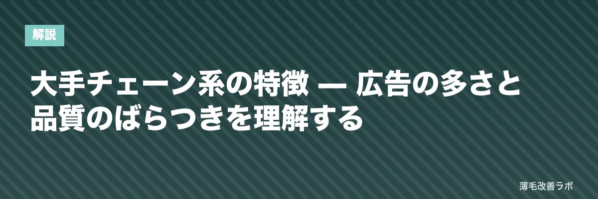 大手チェーン系の特徴 — 広告の多さと品質のばらつきを理解する | 薄毛改善ラボ