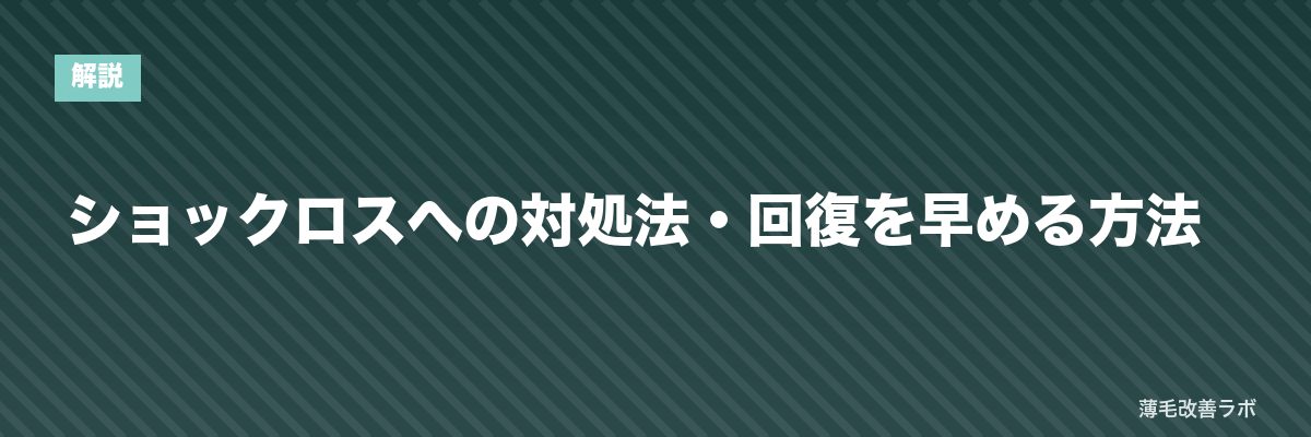 ショックロスへの対処法・回復を早める方法 | 薄毛改善ラボ
