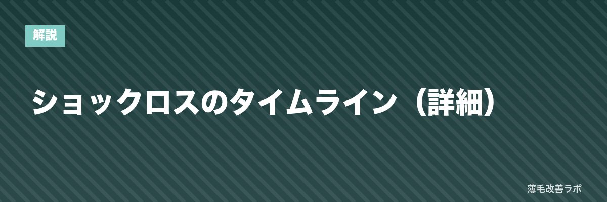 ショックロスのタイムライン（詳細） | 薄毛改善ラボ