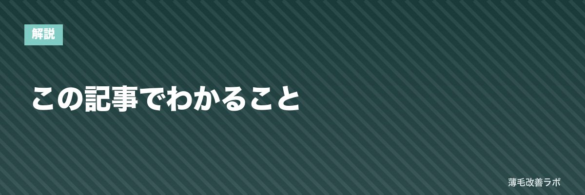この記事でわかること | 薄毛改善ラボ