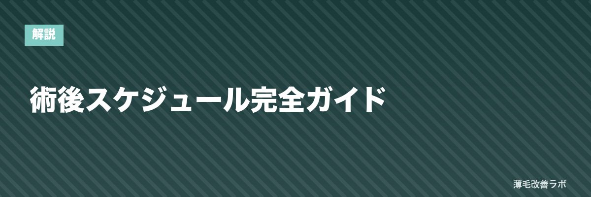 術後スケジュール完全ガイド | 薄毛改善ラボ