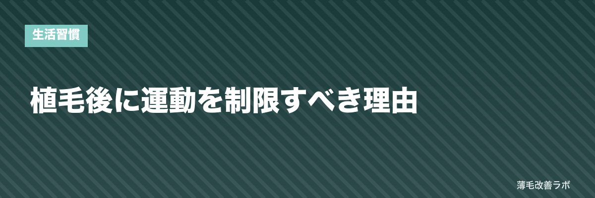 植毛後に運動を制限すべき理由 | 薄毛改善ラボ