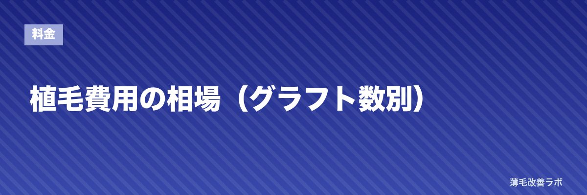 植毛費用の相場（グラフト数別） | 薄毛改善ラボ