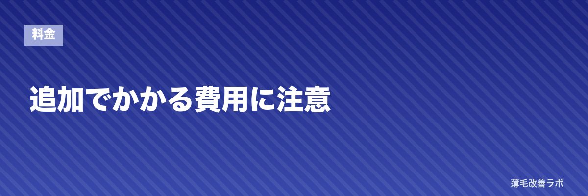 追加でかかる費用に注意 | 薄毛改善ラボ