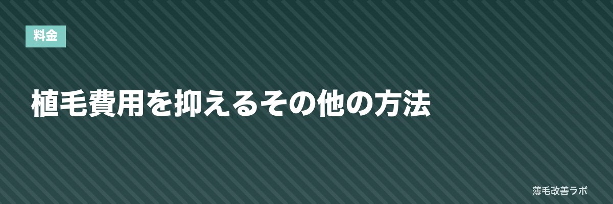 植毛費用を抑えるその他の方法 | 薄毛改善ラボ