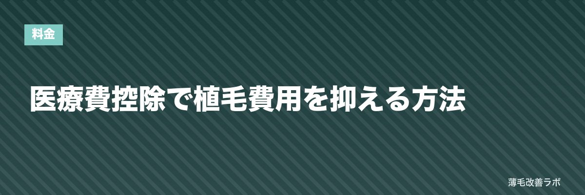 医療費控除で植毛費用を抑える方法 | 薄毛改善ラボ