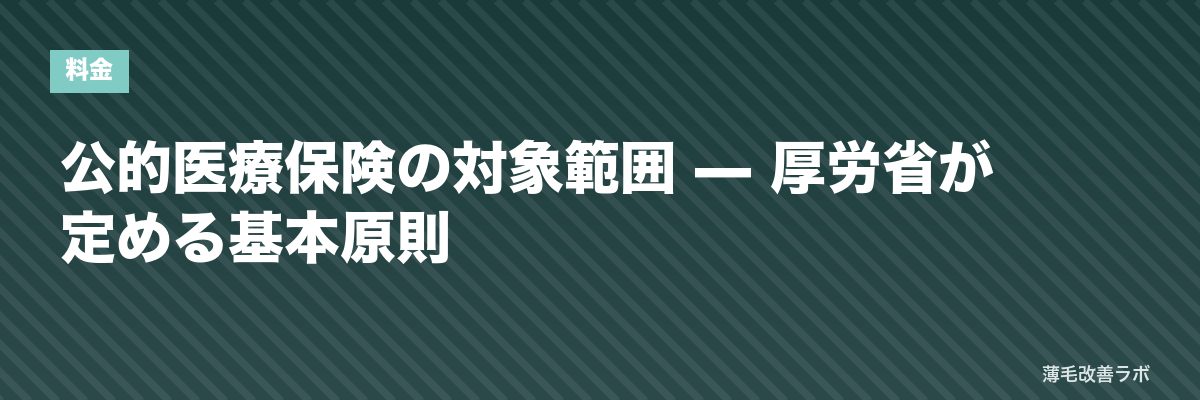 公的医療保険の対象範囲 — 厚労省が定める基本原則 | 薄毛改善ラボ