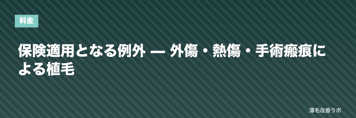 保険適用となる例外 — 外傷・熱傷・手術瘢痕による植毛 | 薄毛改善ラボ