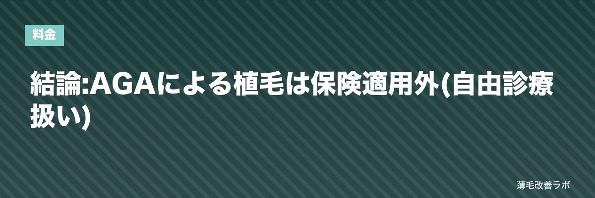 結論:AGAによる植毛は保険適用外(自由診療扱い) | 薄毛改善ラボ