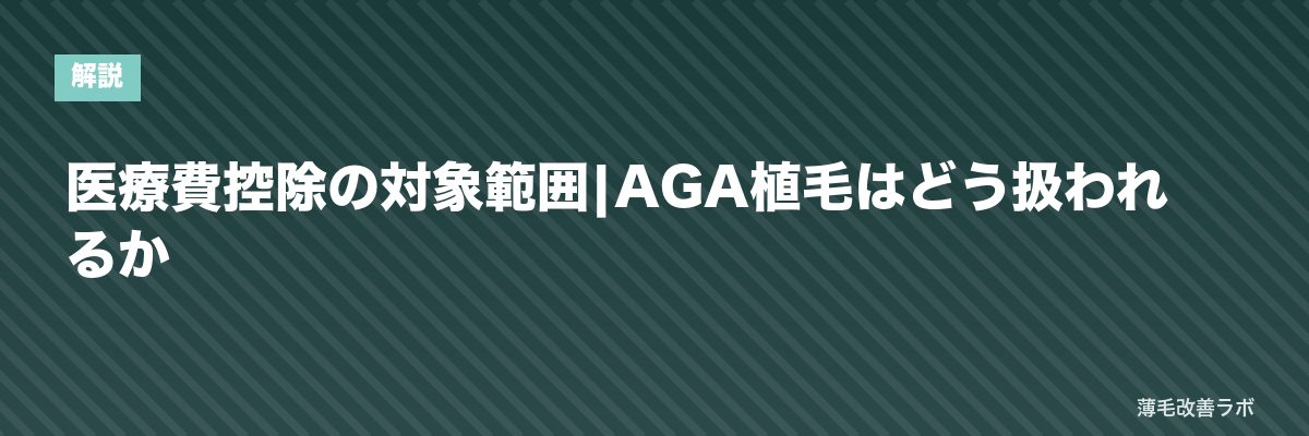医療費控除の対象範囲|AGA植毛はどう扱われるか | 薄毛改善ラボ