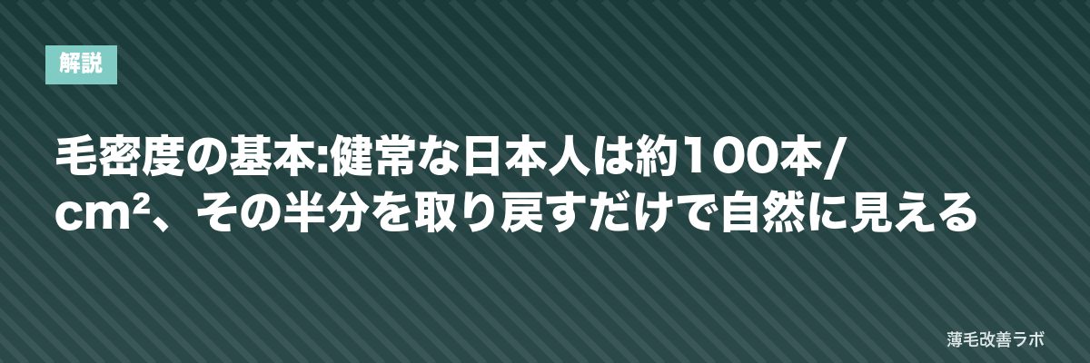 毛密度の基本:健常な日本人は約100本/cm²、その半分を取り戻すだけで自然に見える | 薄毛改善ラボ