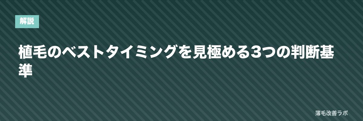 植毛のベストタイミングを見極める3つの判断基準 | 薄毛改善ラボ