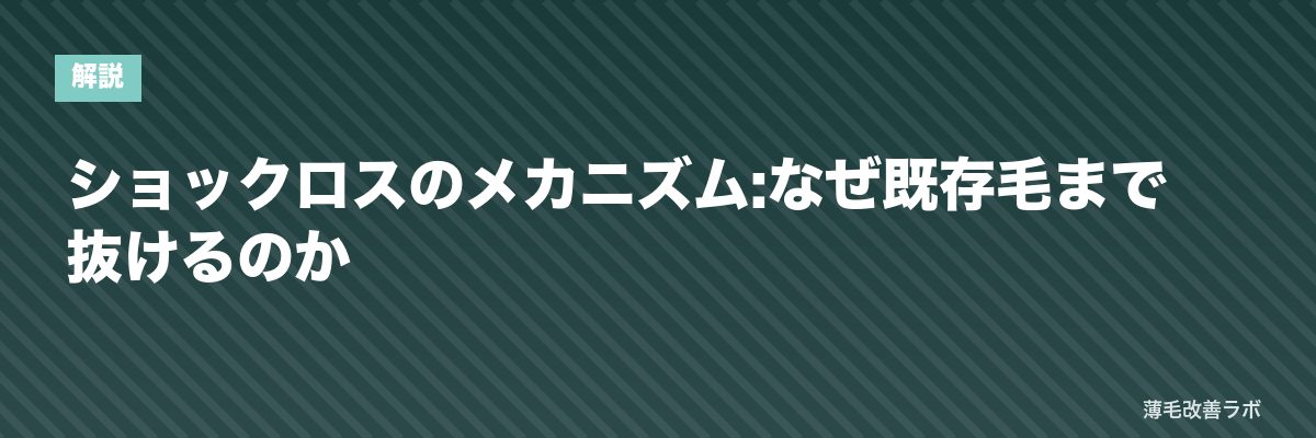 ショックロスのメカニズム:なぜ既存毛まで抜けるのか | 薄毛改善ラボ